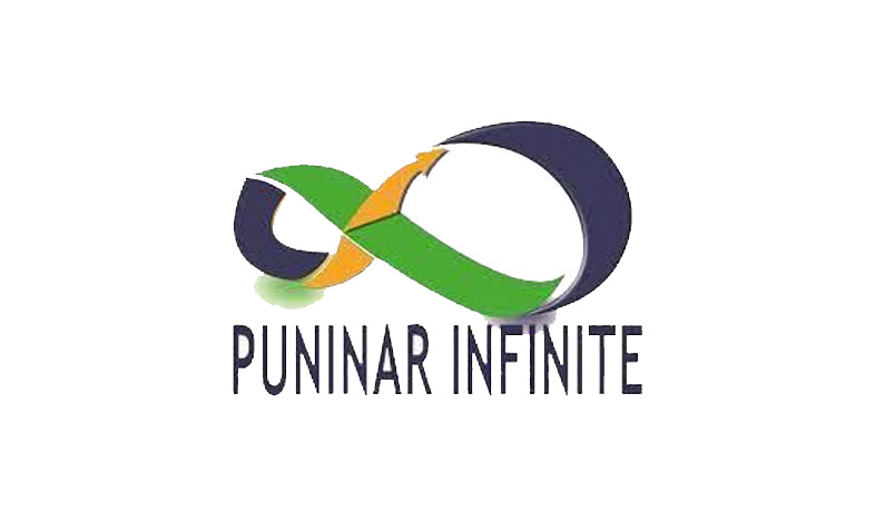 PT Puninar Infinite Raya