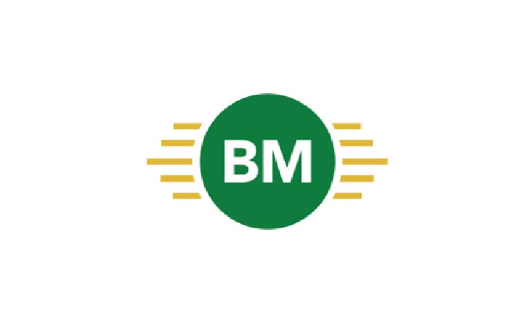 PT Bukitmega Masabadi