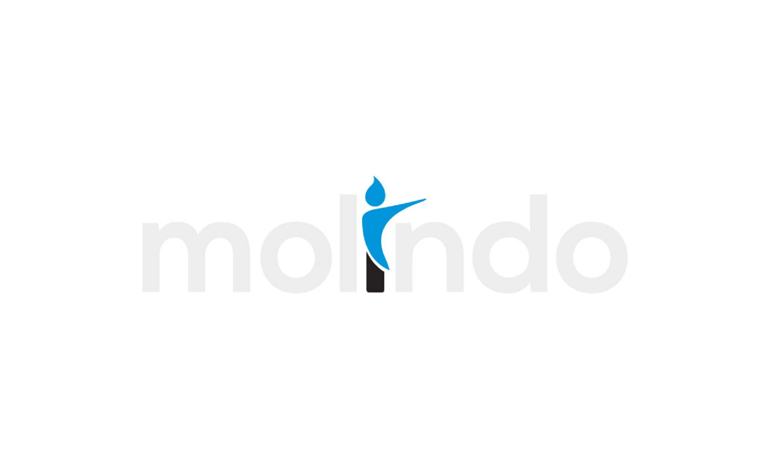 Lowongan Management Trainee PT Molindo Raya Industrial